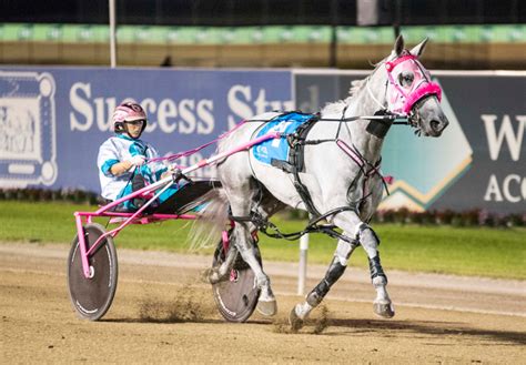 australian harness racing results